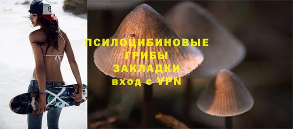 прущие крисы Гусев