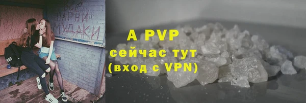 прущие крисы Гусев