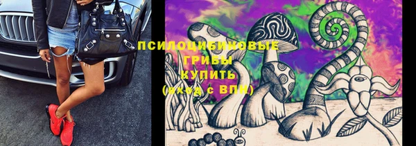 прущие крисы Гусев