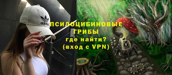 молекула духа Гусь-Хрустальный