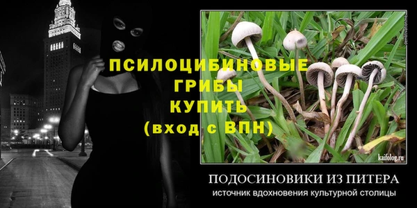 прущие крисы Гусев