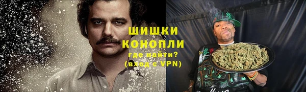 прущие крисы Гусев