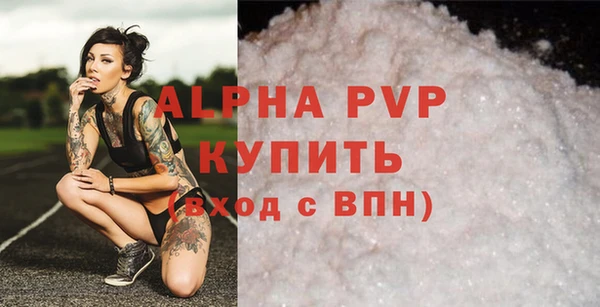 прущие крисы Гусев