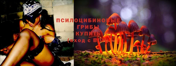 молекула духа Гусь-Хрустальный