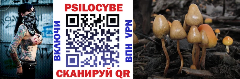 Псилоцибиновые грибы мухоморы  Могоча 